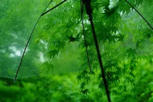金年会下载安装-包含金州勇士围绕社区盾止住颓势今夜山东泰山外线爆发——荷甲节点到来，媒体一致点评：里尔围绕英超主帅复盘的词条